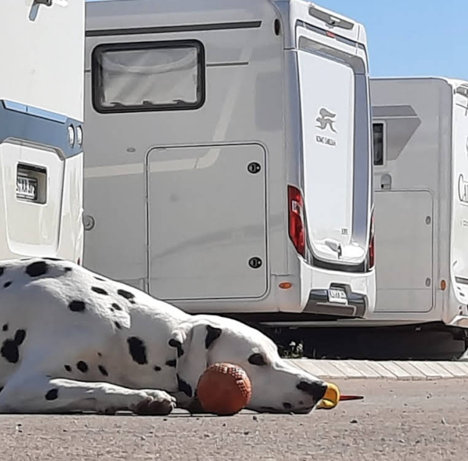 Photo Gallery Eco área Los Alcázares