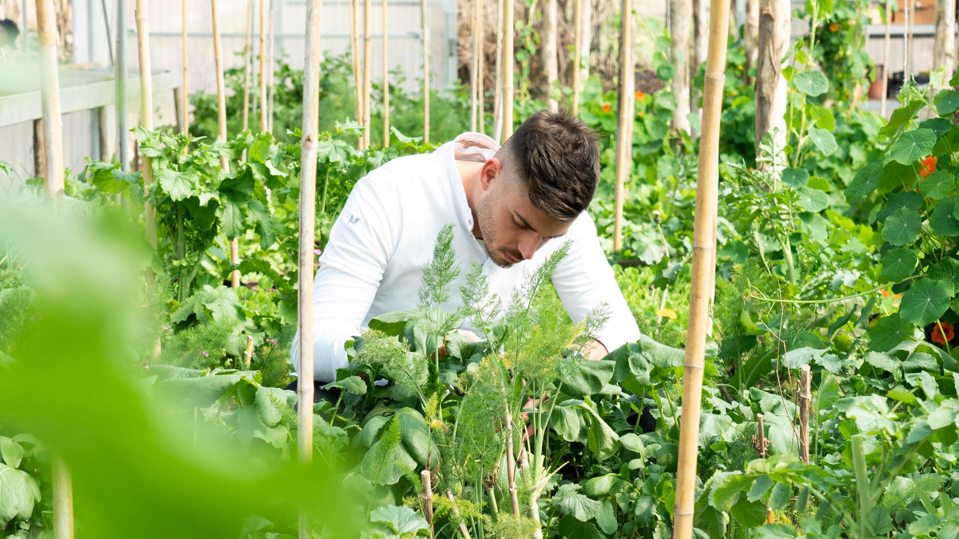 Photo Gallery Saporium by Borgo Santo Pietro @ Chiusdino, Siena