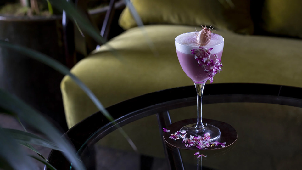 Photo Gallery Saporium Lounge & Tapas Bar - Florence by Borgo Santo Pietro