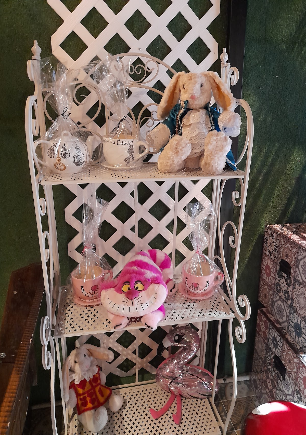 Photo Gallery EL MARAVILLA